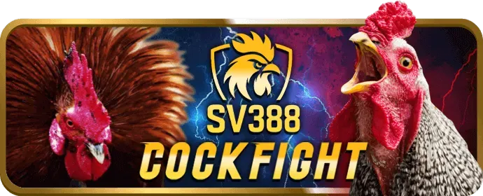 Chương trình VIP bet789 nhà cái